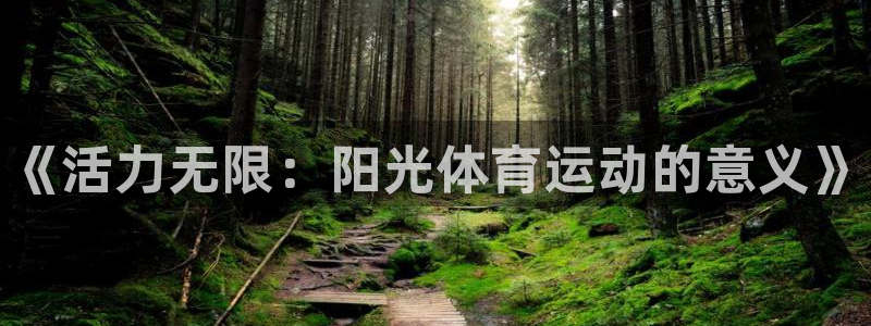 MK体育官方正版app代理：《活力无限：阳光体育运动