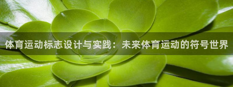 MK体育官网下载招商电话是多少号码：体育运动标志设计