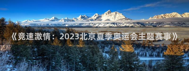 MK体育官网下载平台注册流程视频：《竞速激情：202