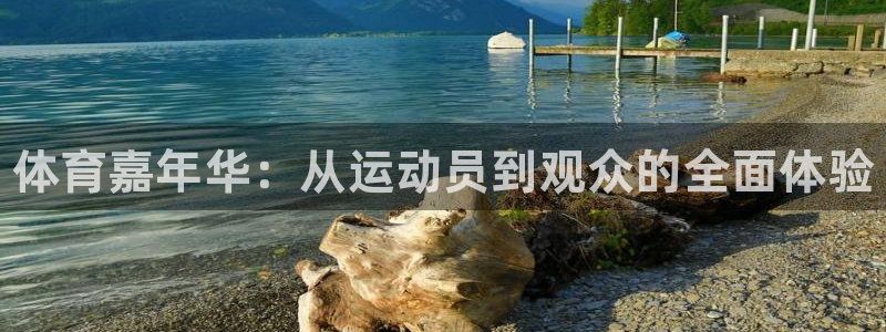 MK体育官网下载平台是正规平台吗安全吗：体育嘉年华：