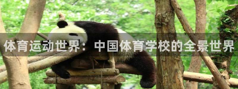 MK体育官网下载招商电话是多少：体育运动世界：中国体