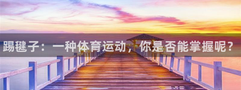 MK体育官方正版app集团简介：踢毽子：一种体育运动