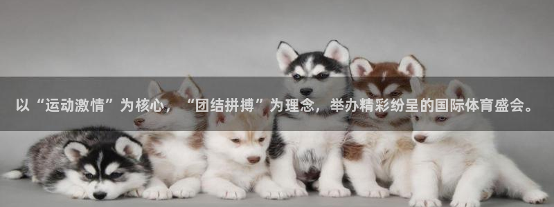 MK体育官方正版app集团logo：以“运动激情”为