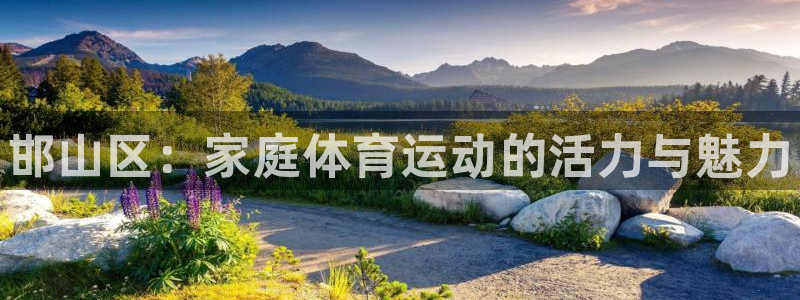MK体育官网下载招商：邯山区：家庭体育运动的活力与魅
