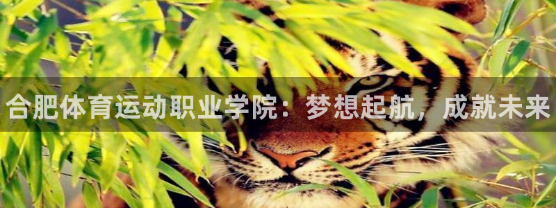 MK体育官方正版app娱乐：合肥体育运动职业学院：梦