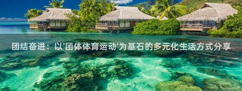 注册MK体育官方正版app：团结奋进：以\'团体体育运动\'