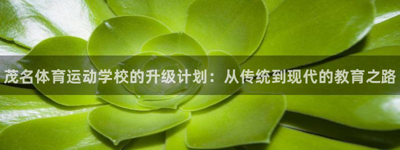 MK体育官网下载平台是正规平台吗：茂名体育运动学校的升级计划