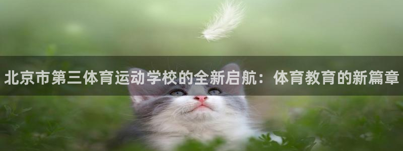 MK体育官方正版app集团官网网址