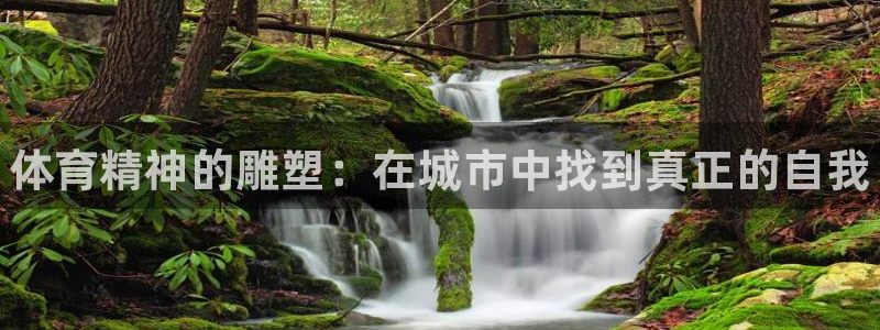 MK体育官网下载招商电话地址查询