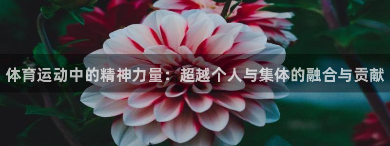 MK体育官方正版app集团：体育运动中的精神力量：超