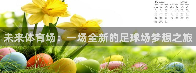 MK体育官方正版app娱乐首页网站大全：未来体育场：