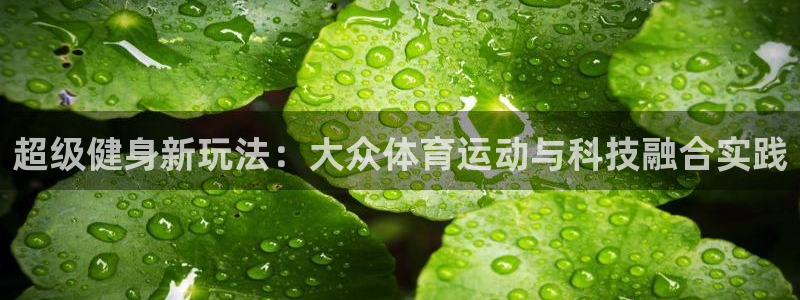 MK体育官方正版app集团：超级健身新玩法：大众体育运动与科