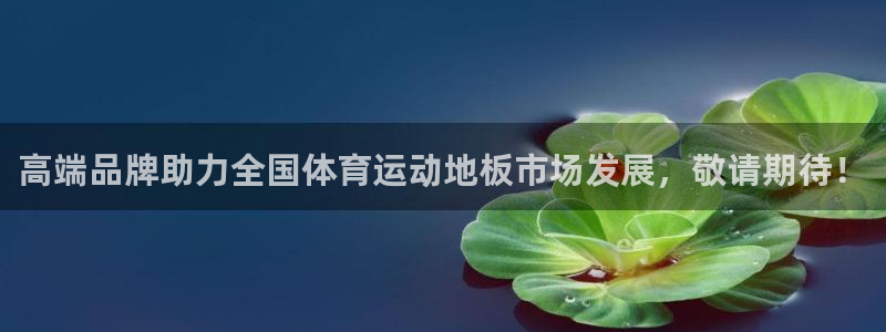 MK体育官网下载娱乐：高端品牌助力全国体育运动地板市场发展，