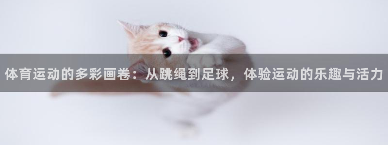 MK体育官方正版app五金厂