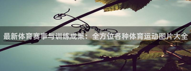 MK体育官方正版app娱乐代理怎么样