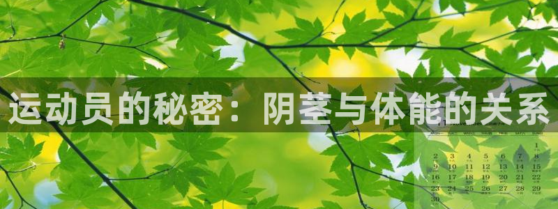 MK体育官方正版app娱乐首页官网下载