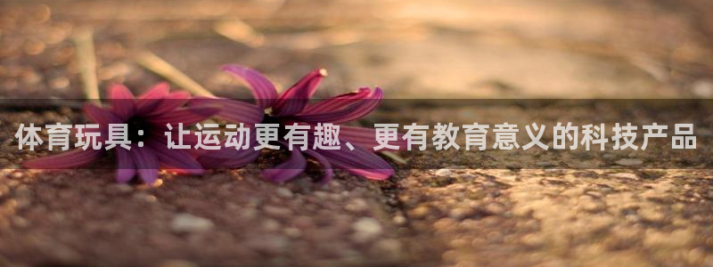 MK体育官方集团官网：体育玩具：让运动更有趣、更有教