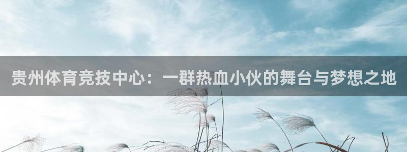 MK体育官方正版app娱乐网站