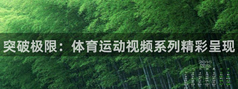 德国MK体育官方正版app集团:突破极限:体育运动视频系列精