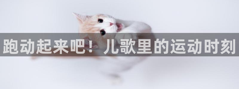 MK体育官方正版app官方:跑动起来吧!儿歌里的运动时刻