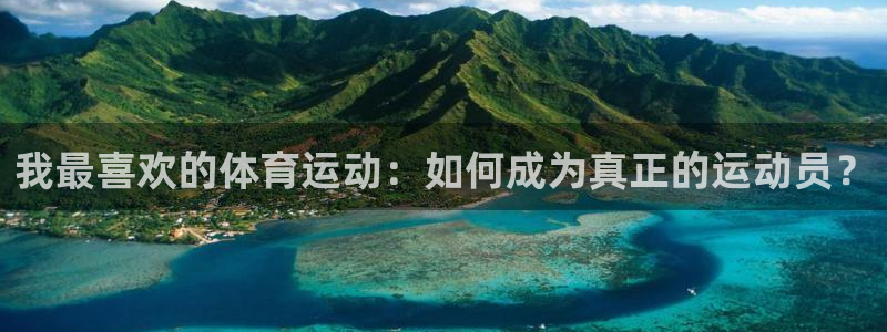 MK体育官方正版app娱乐首页官网下载:我最喜欢的体育运动: