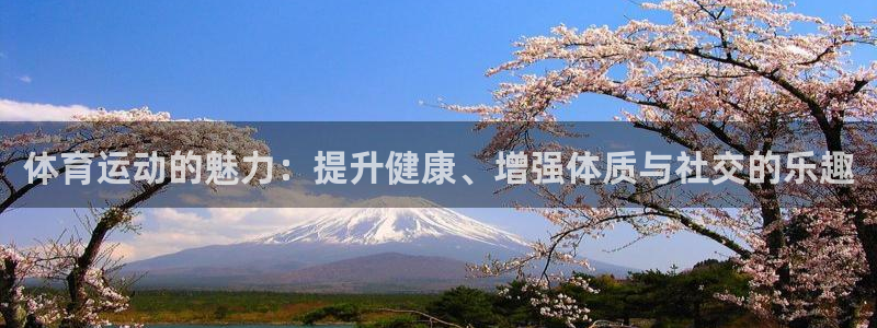 MK体育官方正版app集团logo：体育运动的魅力：