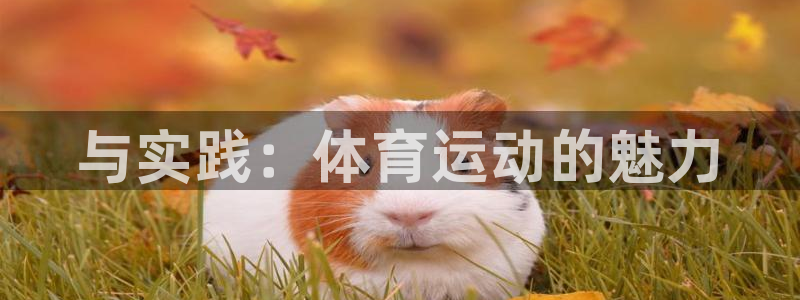 MK体育官网下载招商电话号码：与实践：体育运动的魅力