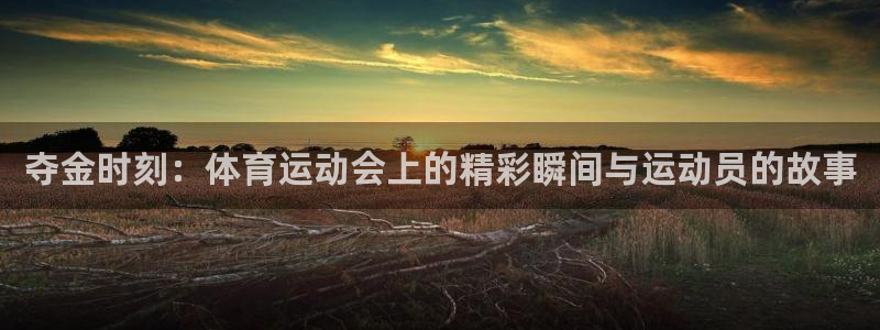 MK体育官网下载平台注册流程图：夺金时刻：体育运动会上的精彩