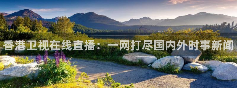 nba火凤直播：香港卫视在线直播：一网打尽国内外时事新闻
