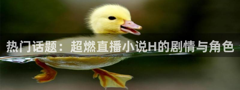 火凤体育直播在线：热门话题：超燃直播小说H的剧情与角色
