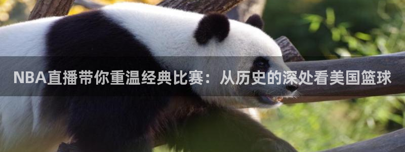 火凤体育免费直播在线观看：NBA直播带你重温经典比赛：从历史的深处看美国篮球