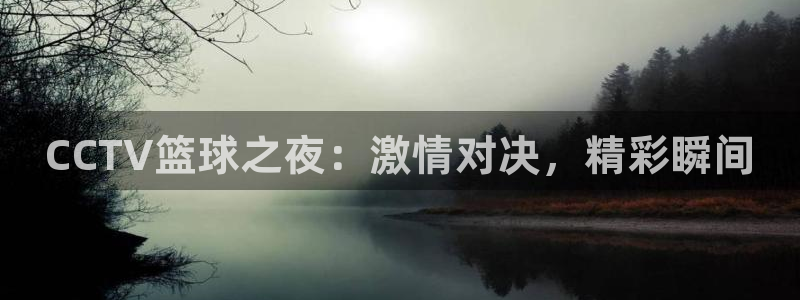 nba火凤直播：CCTV篮球之夜：激情对决，精彩瞬间