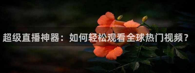 火凤体育免费直播入口：超级直播神器：如何轻松观看全球热门视频？