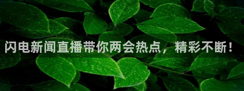 火凤免费观看体育直播：闪电新闻直播带你两会热点，精彩不断！