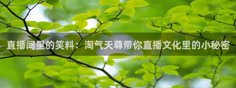 火凤体育直播：直播间里的笑料：淘气天尊带你直播文化里的小秘密