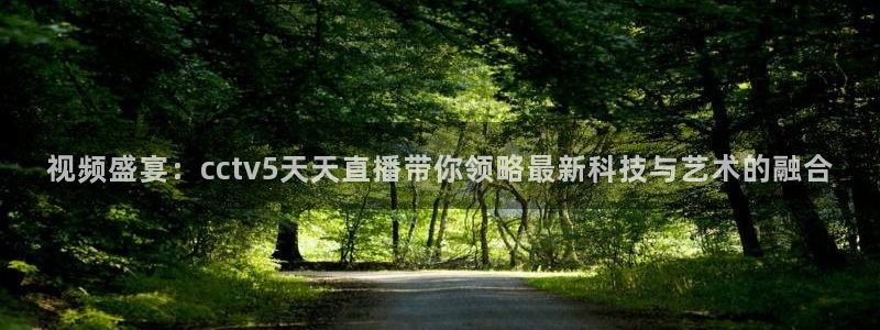 火凤直播体育官网入口在线观看：视频盛宴：cctv5天天直播带你领略最新科技与艺术的融合